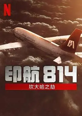 《印航814 坎大哈之劫》：惊心动魄的真实空难，人性考验下的生存博弈，超越想象的灾难史诗